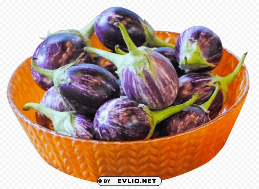 Brinjal PNG For Web Design