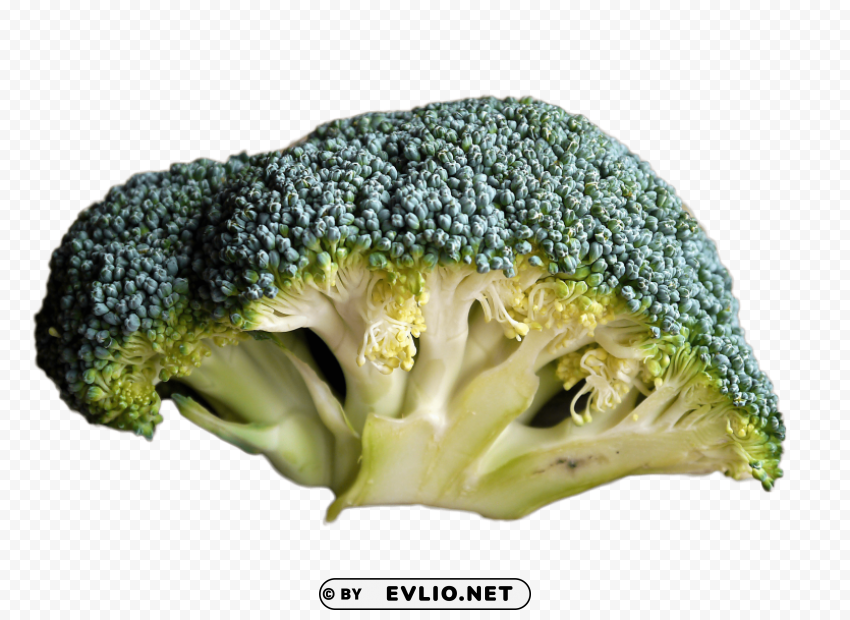 broccoli PNG with transparent backdrop