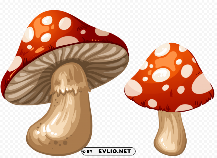 mushrooms Transparent PNG images free download