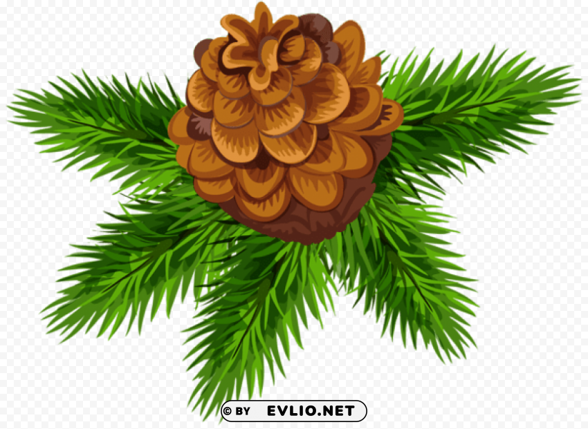 cone with pine branches High-quality transparent PNG images