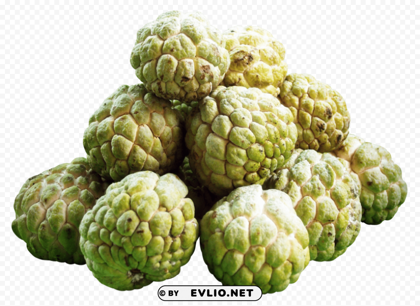 custard apples Isolated Artwork on HighQuality Transparent PNG