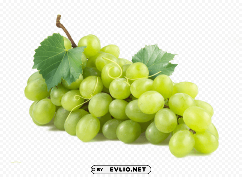 green grapes PNG Graphic Isolated on Clear Backdrop