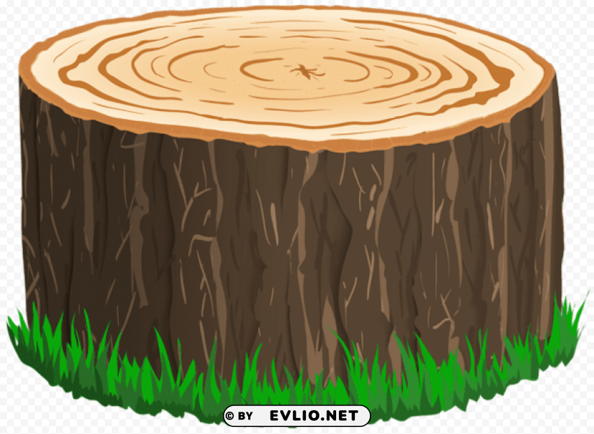 tree stump PNG images with cutout