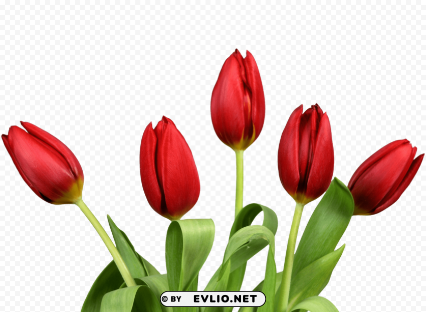 PNG image of bouquet of flowers Free PNG images with clear backdrop with a clear background - Image ID 03b9e331