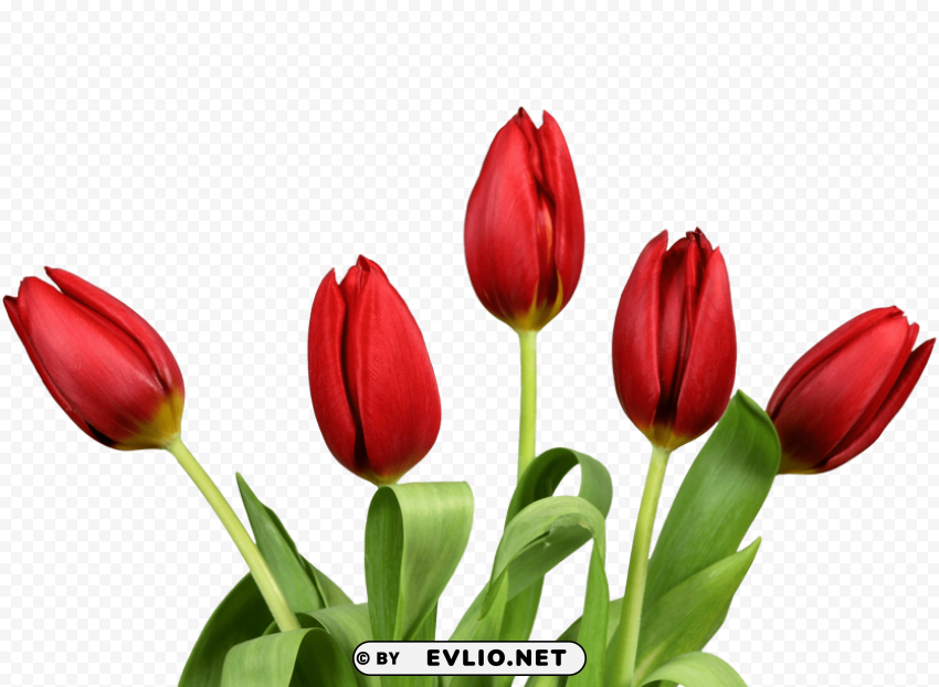 Bouquet Of Flowers Free PNG Images With Clear Backdrop