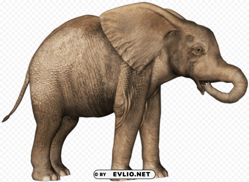 elephant PNG photo with transparency png images background - Image ID e46bf53b
