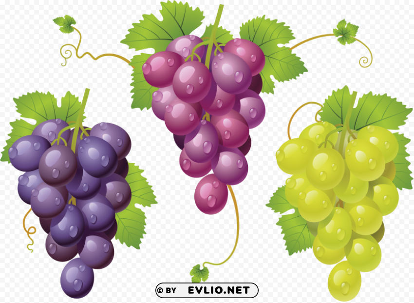 grapes PNG images with transparent layer