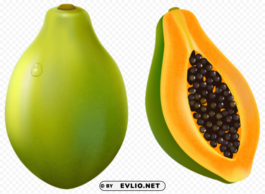 papaya vector Transparent PNG Isolated Illustration