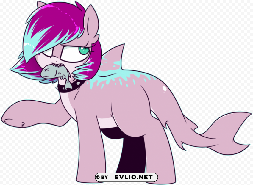 Pony PNG Transparency Images
