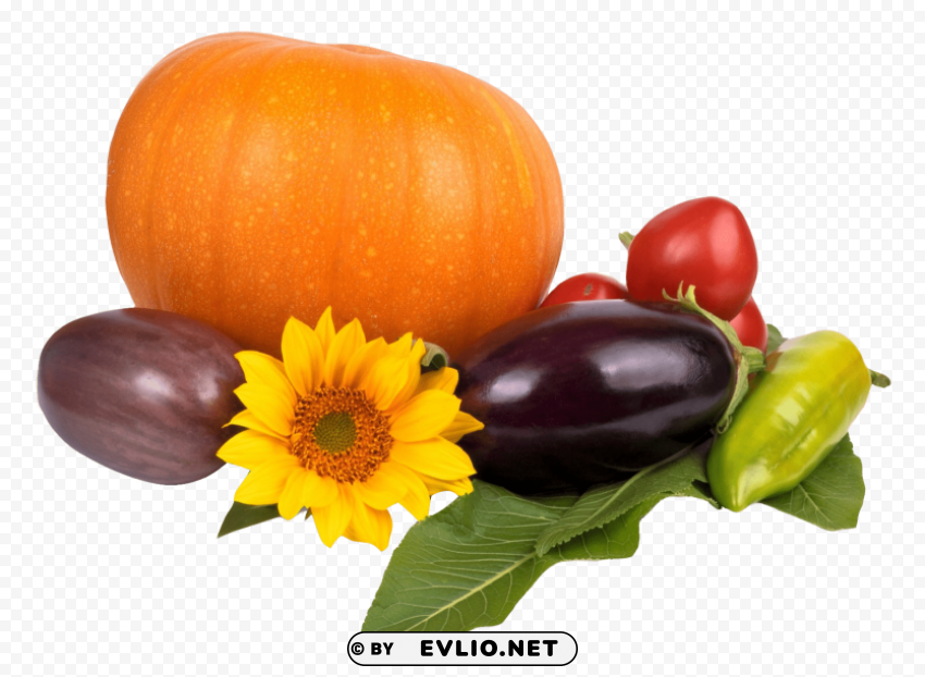 pumpkin tomato pepper eggplant Transparent PNG pictures for editing