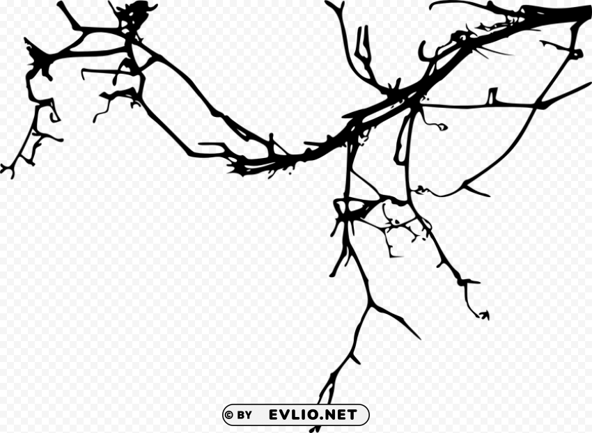 simple tree branch Isolated Graphic on HighResolution Transparent PNG