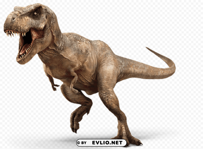t-rex dinosaur PNG pictures without background
