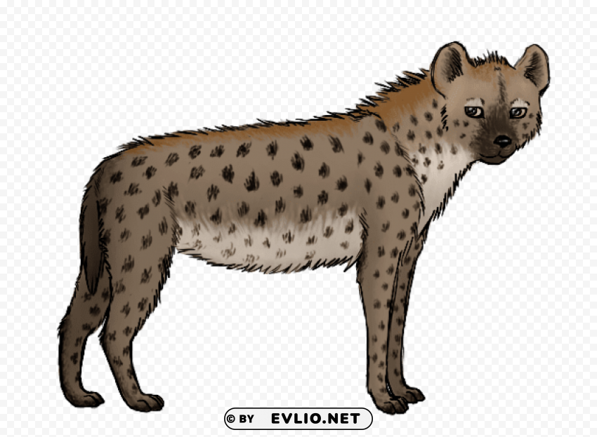 hyena art PNG Isolated Object on Clear Background png images background - Image ID 8ac2644e