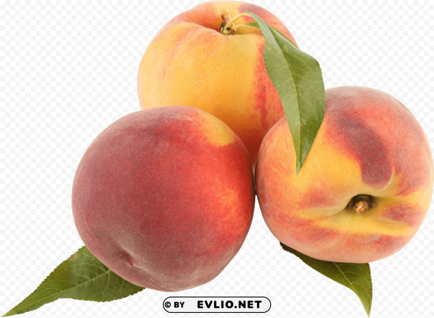 peach Isolated Object with Transparent Background PNG