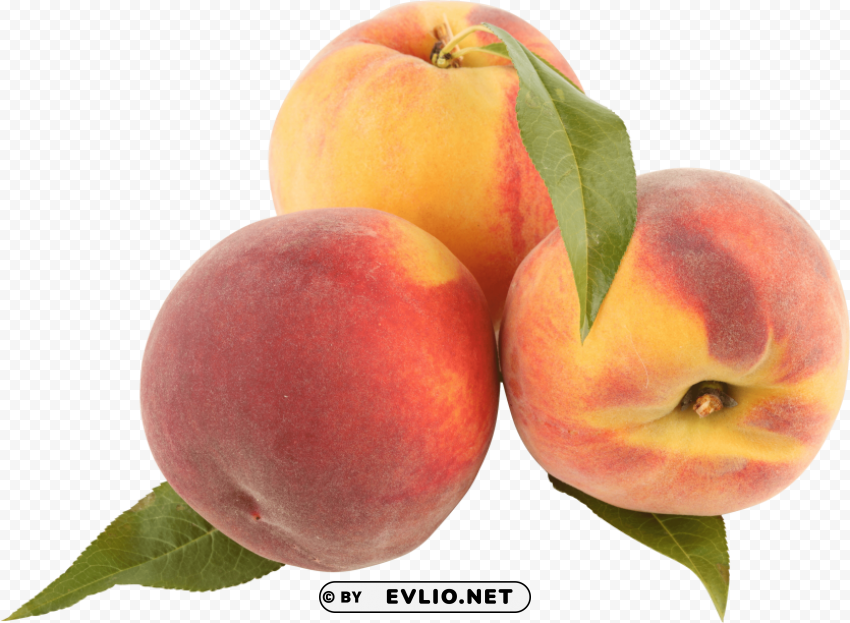 peaches PNG images with no background comprehensive set