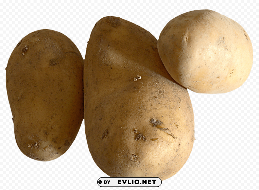 raw potato High-definition transparent PNG