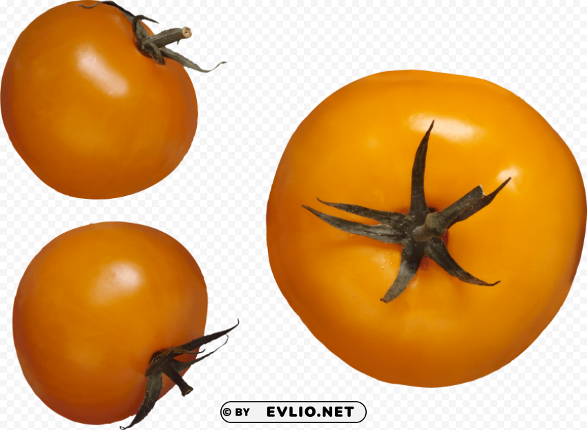 red tomatoes ClearCut Background PNG Isolated Element