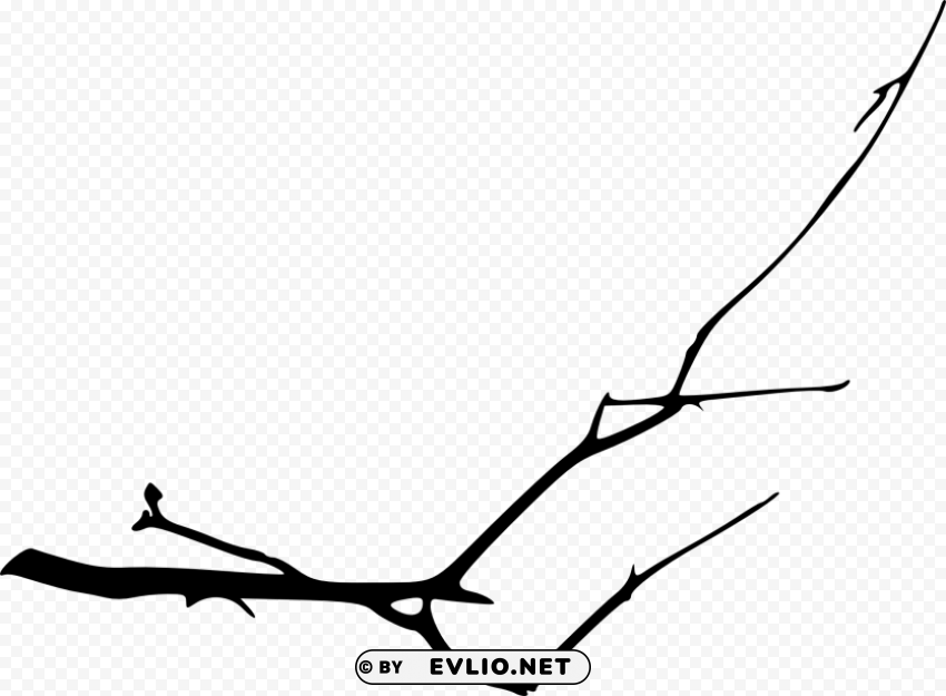 simple tree branch Isolated Graphic on Clear PNG