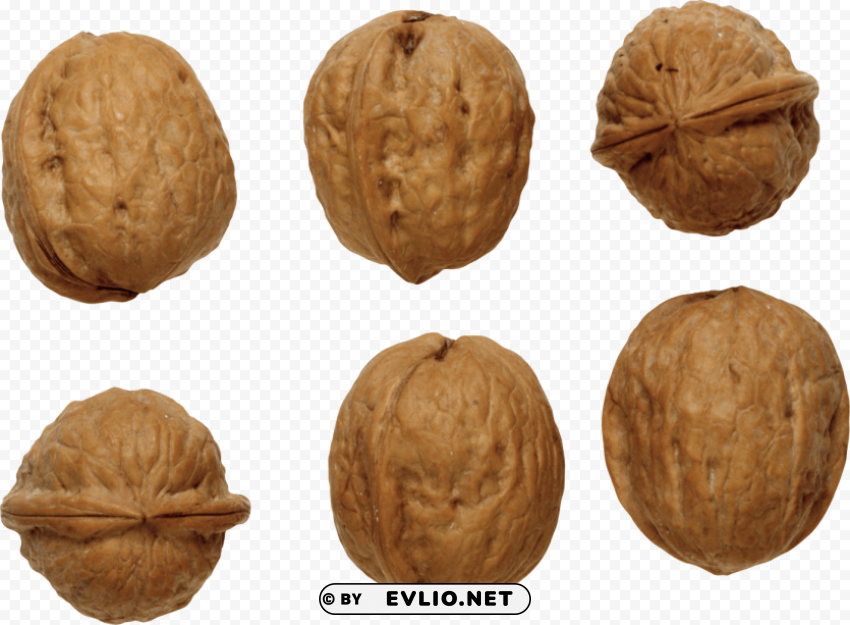 walnut PNG for free purposes