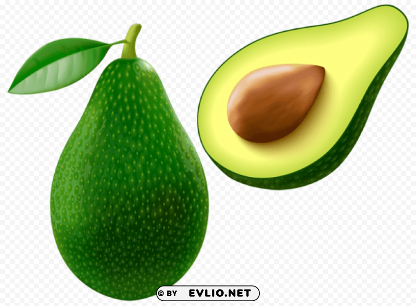 avocado vector Transparent PNG artworks for creativity