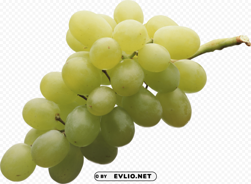 green grapes Transparent pics
