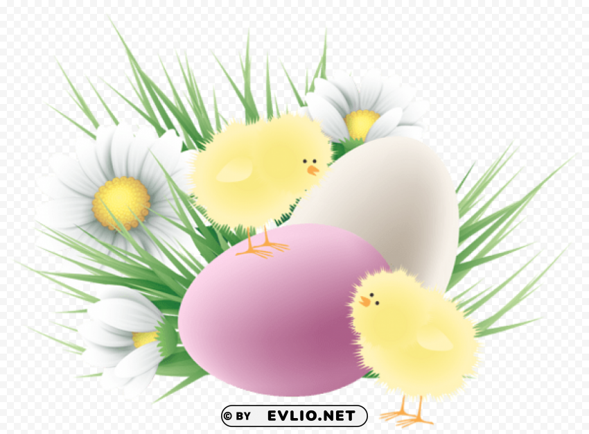  easter chickens and eggspicture Transparent PNG image