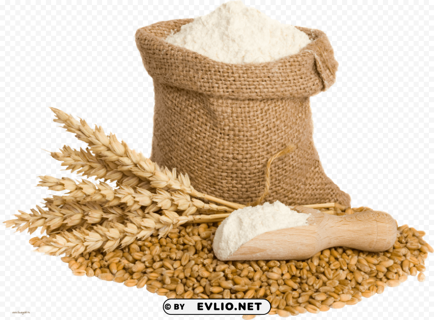 wheat PNG images with no background free download
