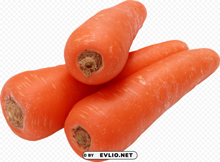 carrot PNG images without restrictions
