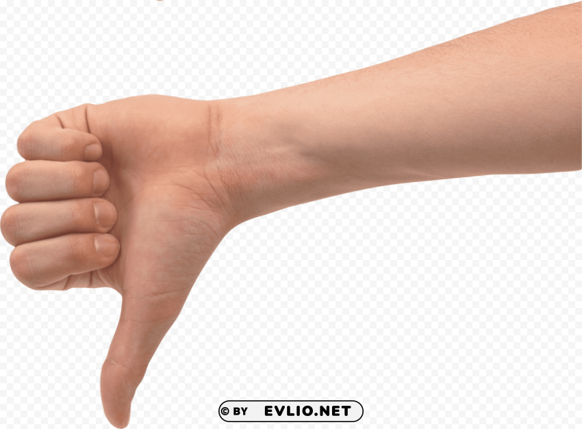 Hands Transparent PNG Illustration With Isolation
