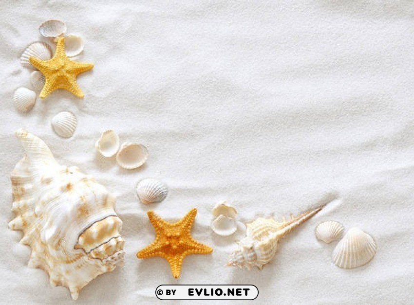 sand and shells High-resolution transparent PNG images variety