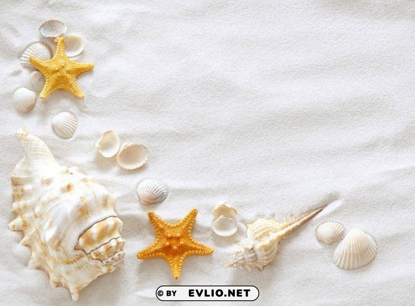 Sand And Shells High-resolution Transparent PNG Images Variety