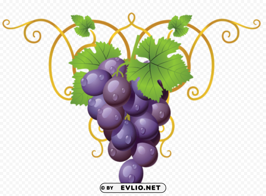 transparent vine decorative elementpicture Isolated Object with Transparency in PNG