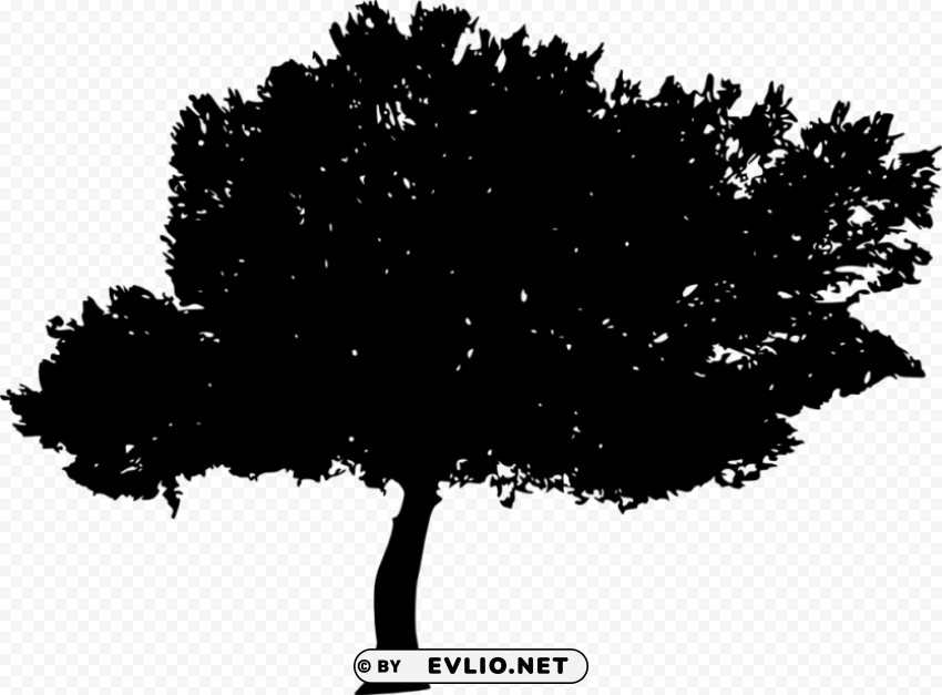 tree silhouette HighResolution PNG Isolated Illustration