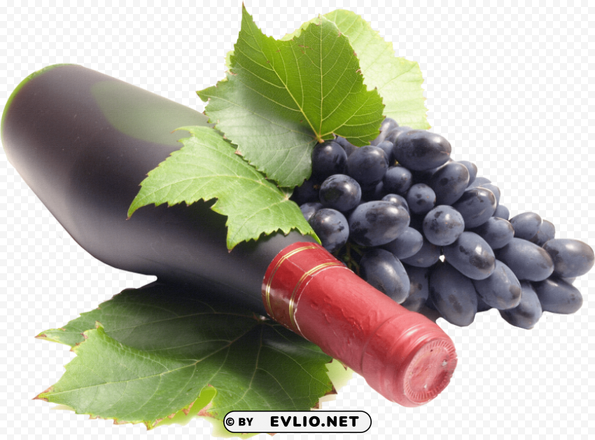 black grapes Isolated Object in Transparent PNG Format