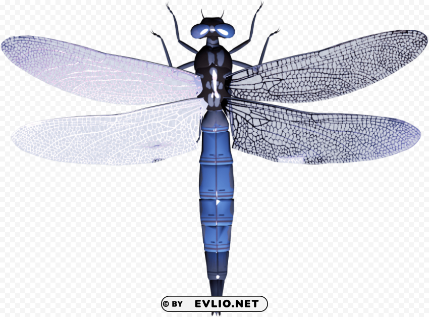 dragonfly Free PNG images with alpha channel variety clipart png photo - a44428b0