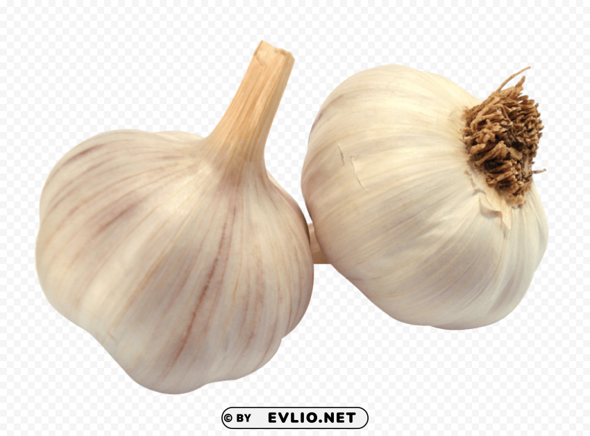 garlic Transparent PNG Graphic with Isolated Object