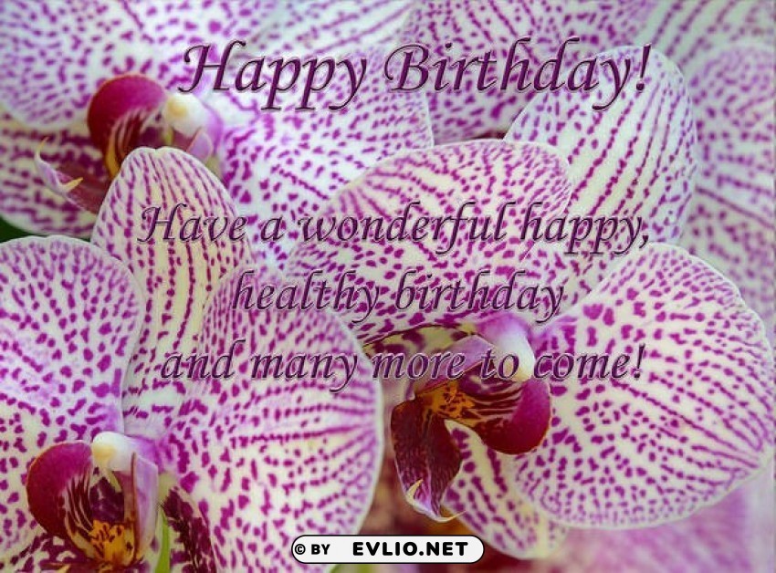 happy birthday card with orchids HighResolution Transparent PNG Isolated Graphic