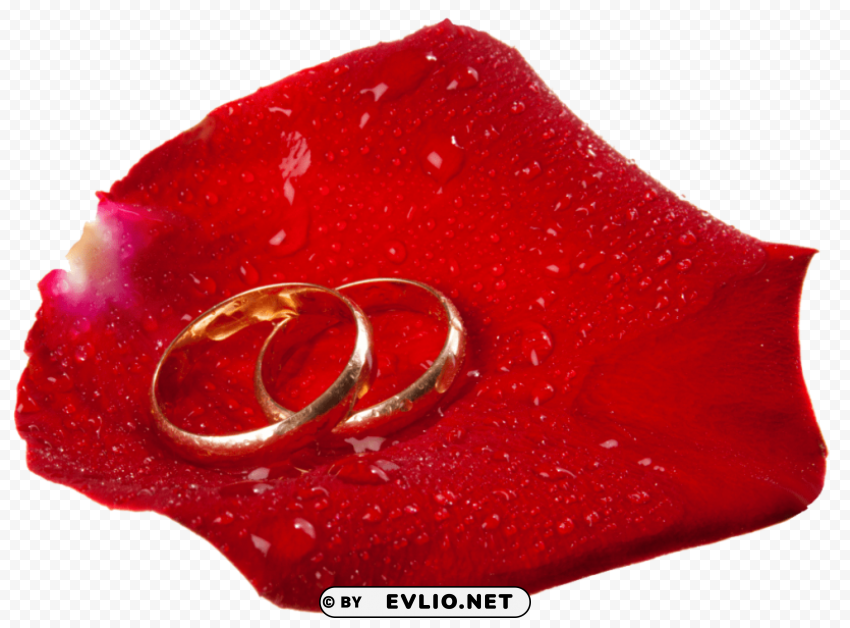 wedding rings in rose petal High-resolution PNG images with transparency