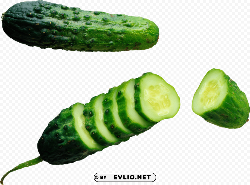 cucumber HighResolution Isolated PNG Image