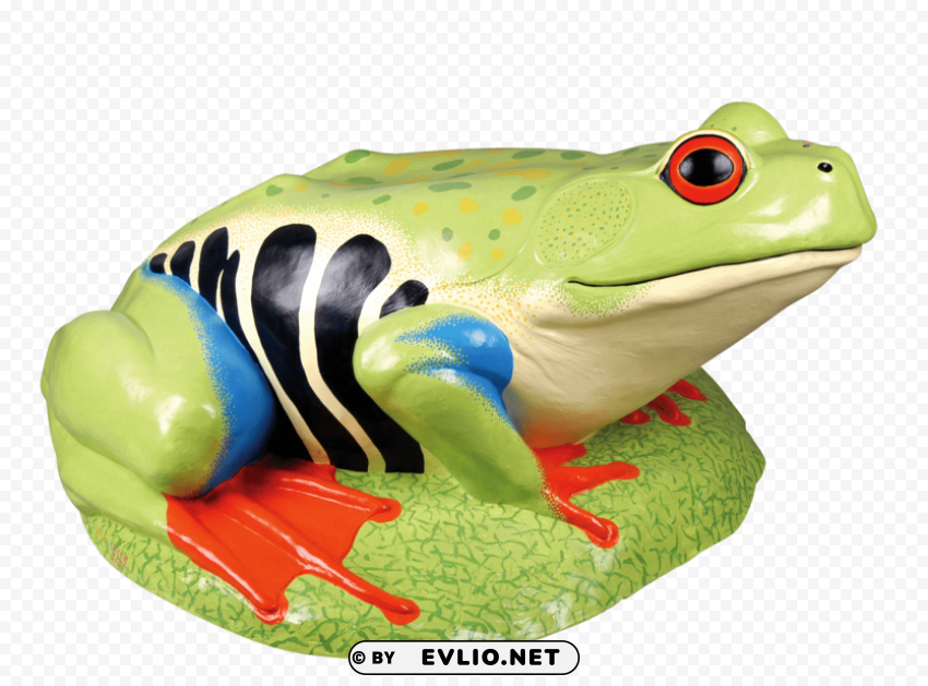 frog Isolated Item on Transparent PNG