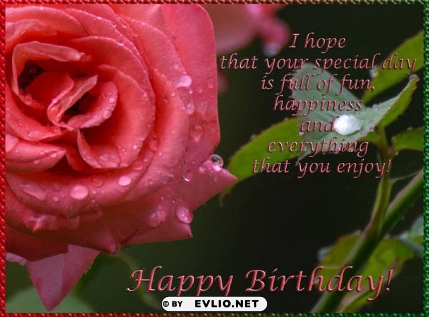 happy birthday card with rose Isolated Artwork on Clear Transparent PNG