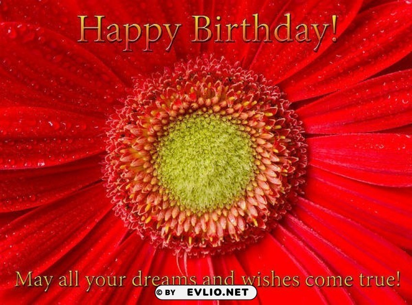 happy birthday greeting card red Isolated Artwork on Transparent Background