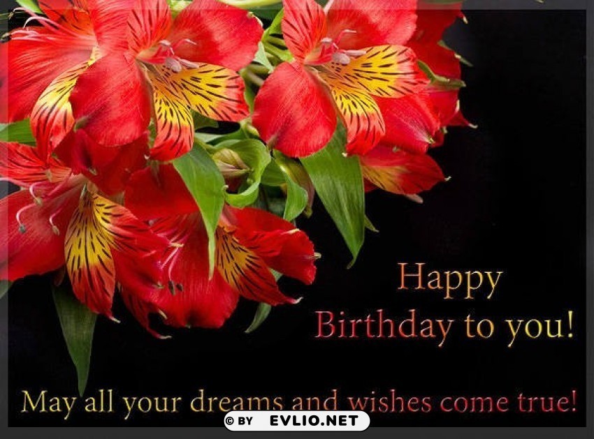 happy birthday greeting card with orchids High-quality transparent PNG images