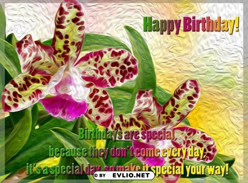 happy birthday orchid card HighResolution Transparent PNG Isolated Item