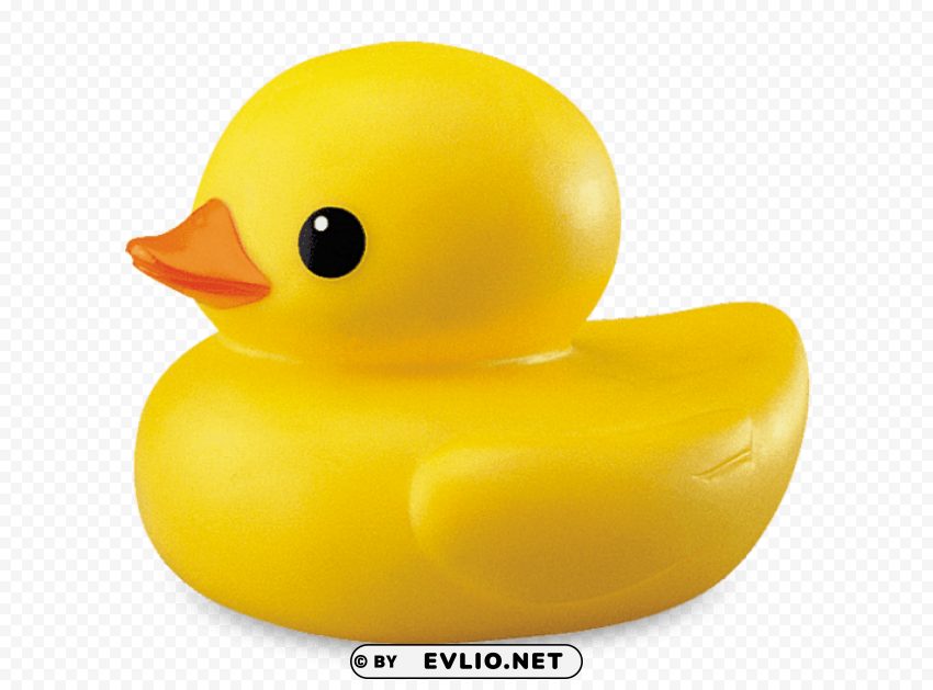 plastic duck PNG files with alpha channel