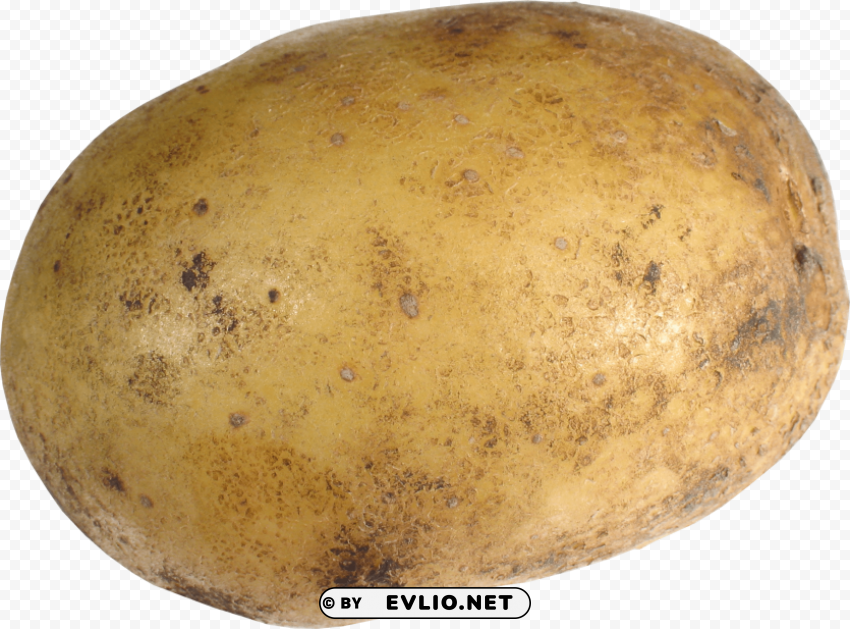 potato PNG for presentations