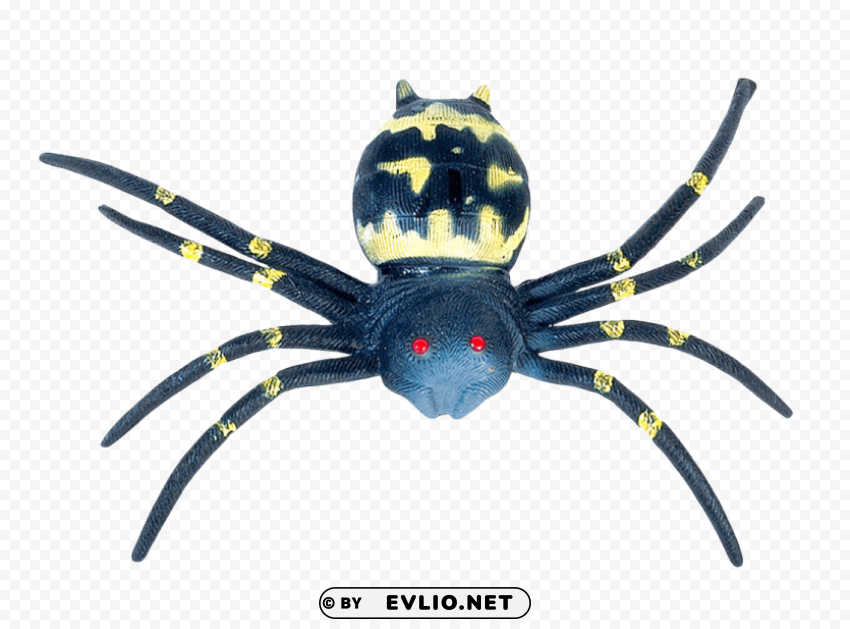 Spider HighQuality Transparent PNG Element
