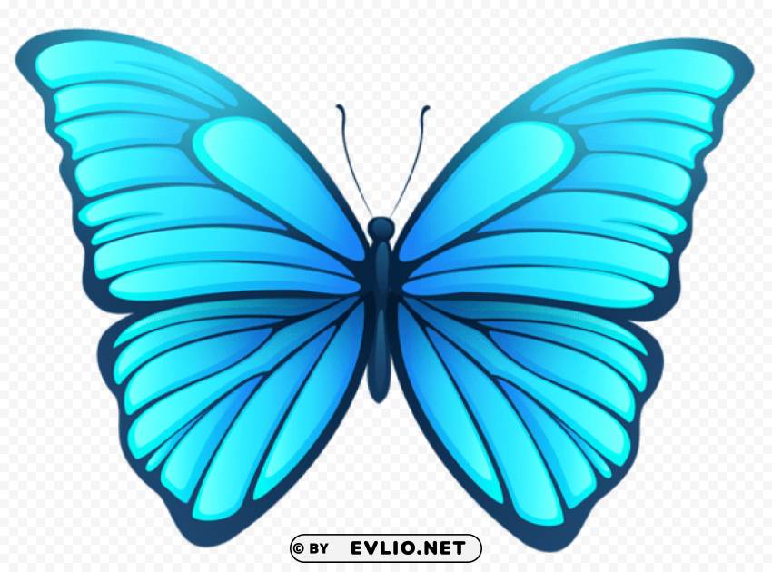 Butterfly Isolated Subject In Clear Transparent PNG