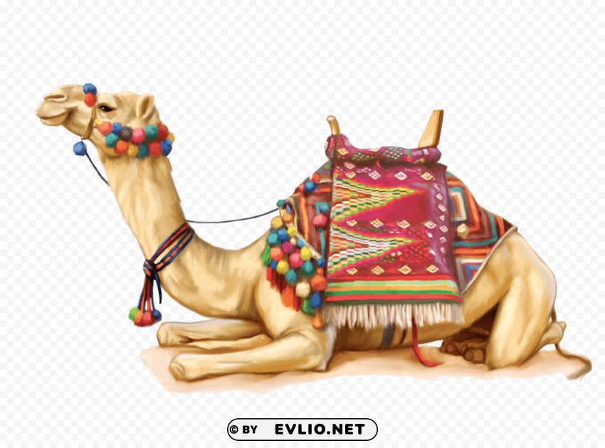 camel Isolated Subject in Transparent PNG png images background - Image ID 0612f34d