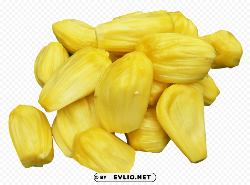 Jackfruit PNG files with clear background bulk download